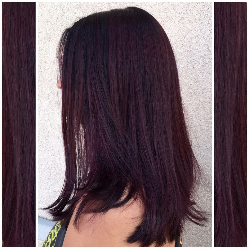 55 Bold Burgundy Dark Red Hair Ideas to Try in 2024 61 Dark Chocolate with Burgundy Balayage