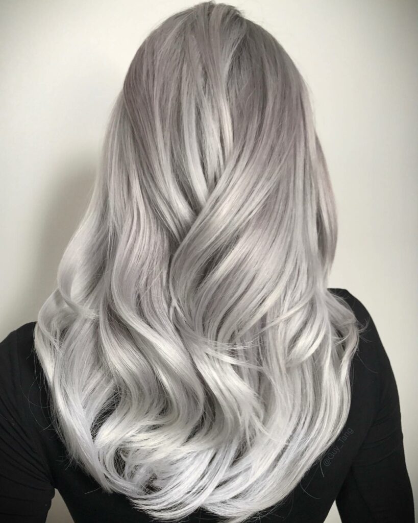25 Silver Hair Colour Ideas to Embrace in 2024 16 Platinum Silver Hair