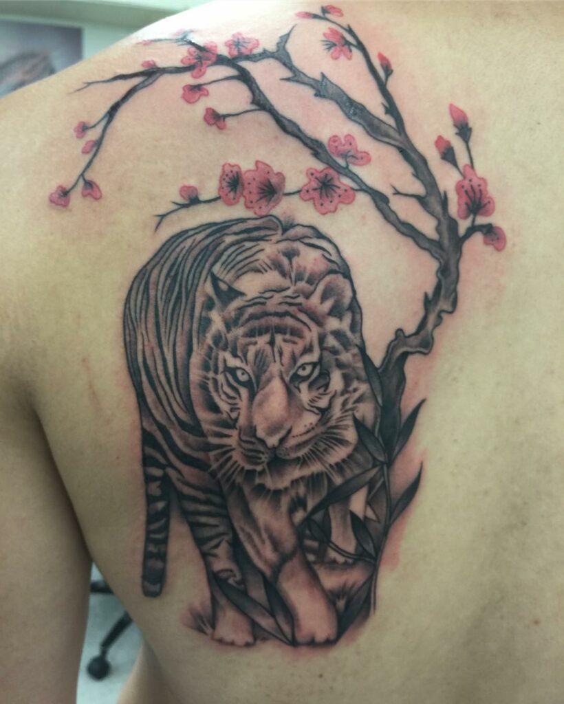 BEAUTIFUL SHOULDER TATTOO IDEAS FOR WOMEN IN 2024 23 Tiger Tattoo