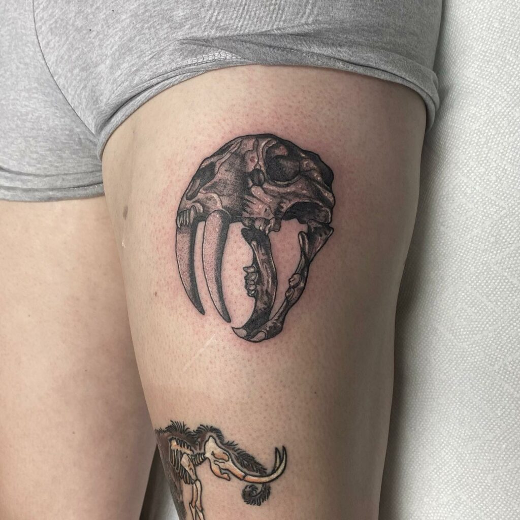 AMAZING ANIMAL SKULL TATTOO IDEAS AND THEIR MEANINGS IN 2024 24 Saber Tooth Tiger Skull Tattoo
