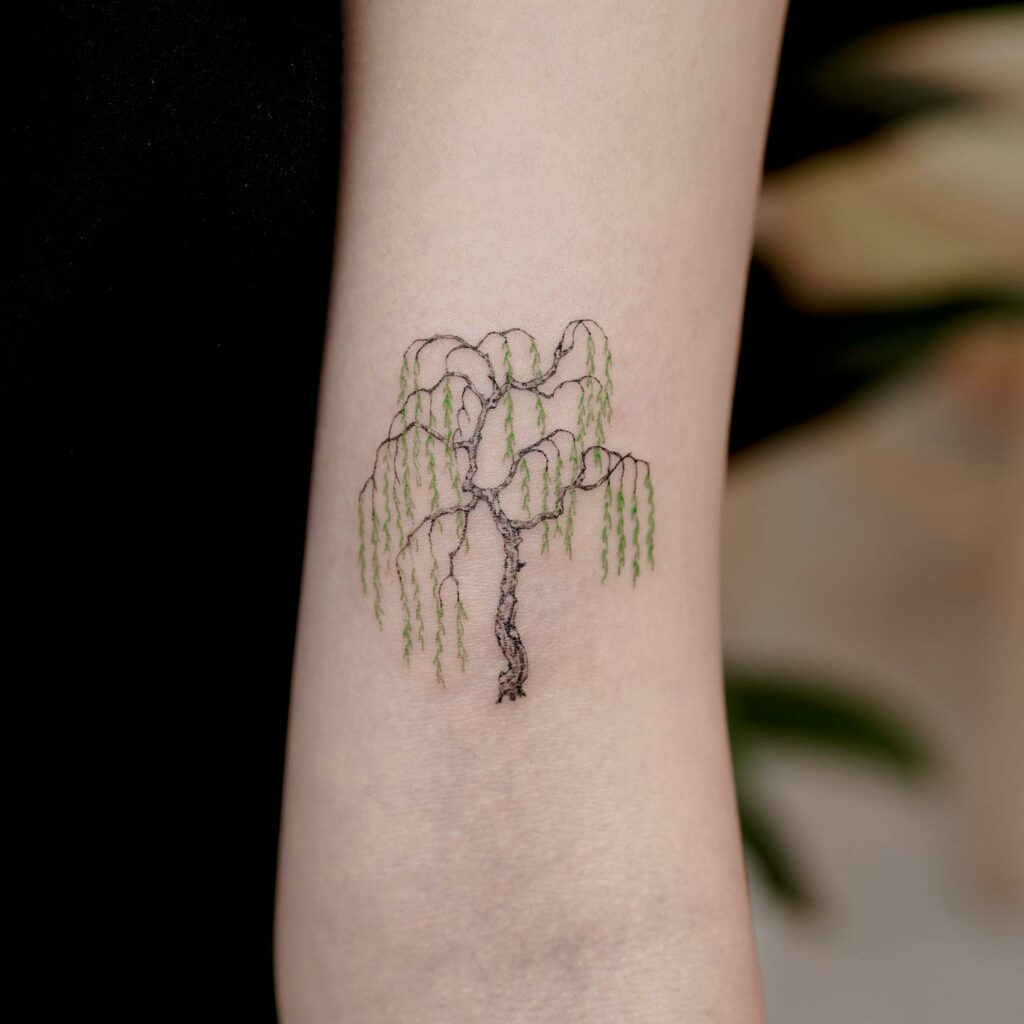 10 BEST TREE TATTOOS + THEIR MEANINGS IN 2024 19 Willow Trees Tattoo