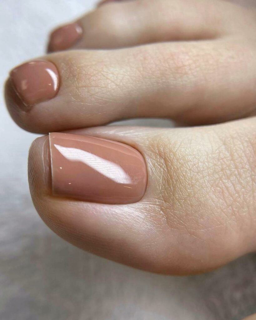 30 Winter Pedicure Color Ideas to Try in 2024 20 A Year-Round Gem