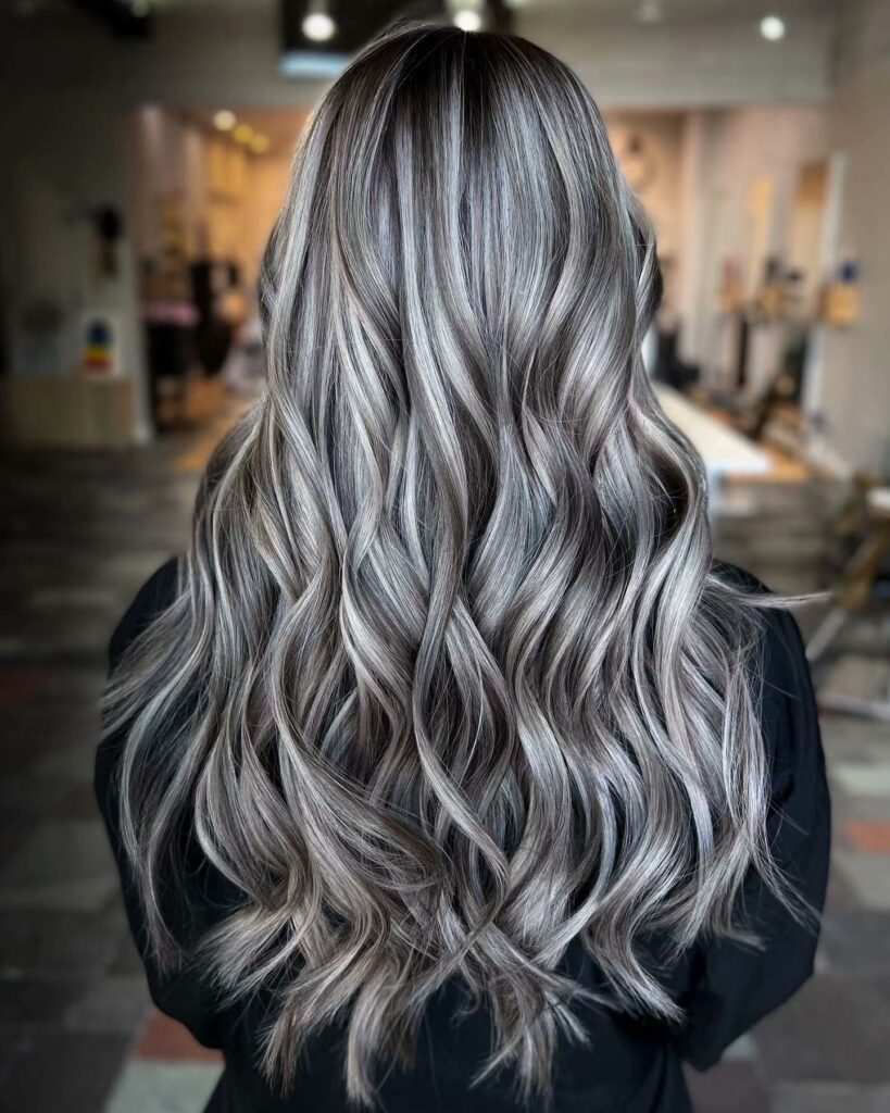 25 Silver Hair Colour Ideas to Embrace in 2024 34 Black Hair with Silver Highlights