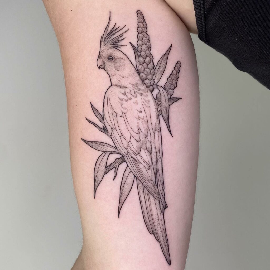 BEAUTIFUL BIRD TATTOO DESIGN YOU NEED TO SEE IN 2024 13 Parrot Tattoo