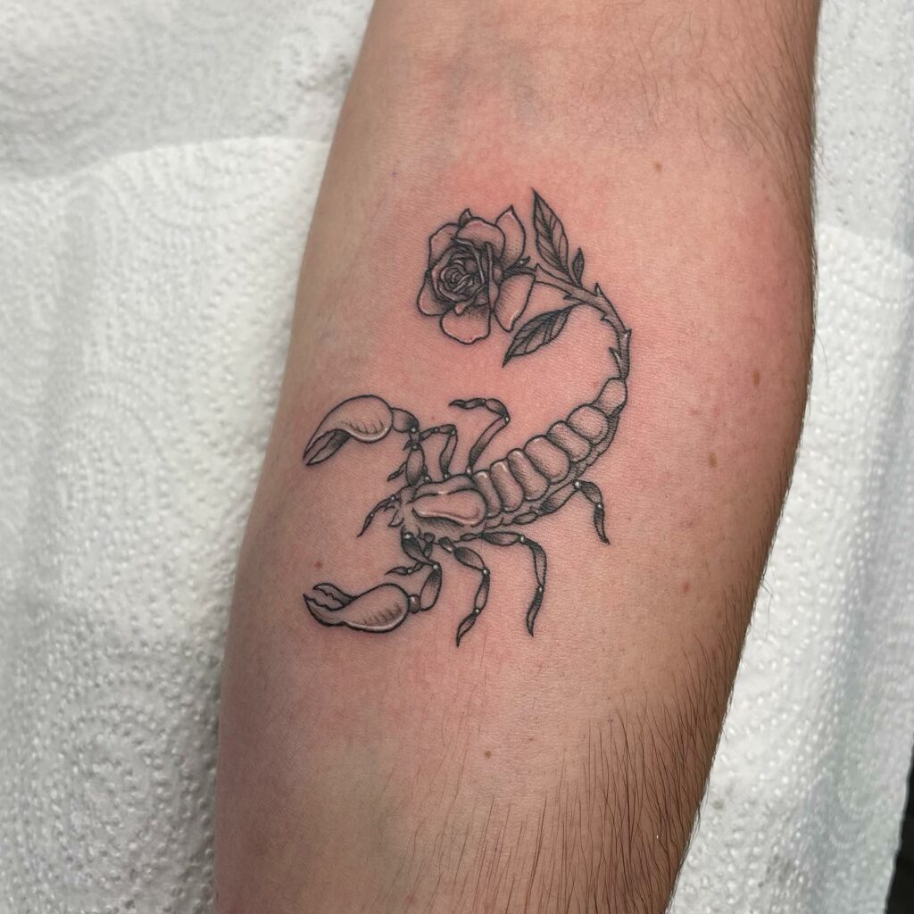 22 AMAZING SCORPION TATTOO DESIGNS - UPDATED FOR 2024 15 Scorpion Rose Tattoo