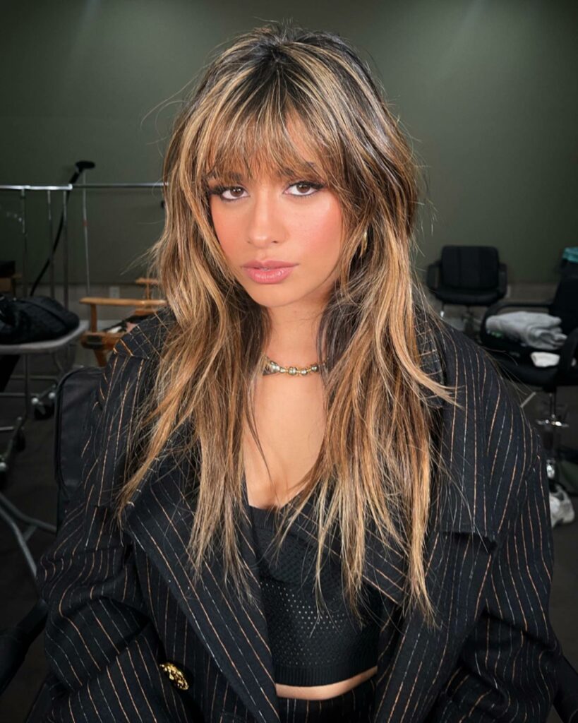 35 Long Wolf Cut Hairstyle Ideas to Try in 2024 13 Long Heavily Layered Wolf Cut