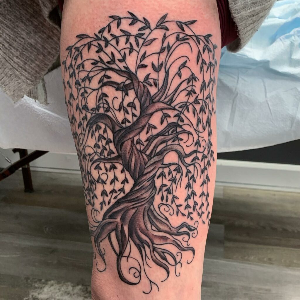 Amazing Weeping Willow Tattoo Designs + Meanings To Inspire In 2024 14 Weeping Willow Tattoo