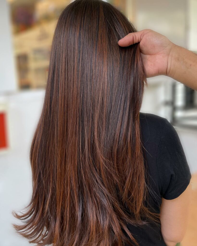 35 Reddish Brown Hair Color Ideas to Try in 2024 31 Gorgeous Chestnut Hair Color