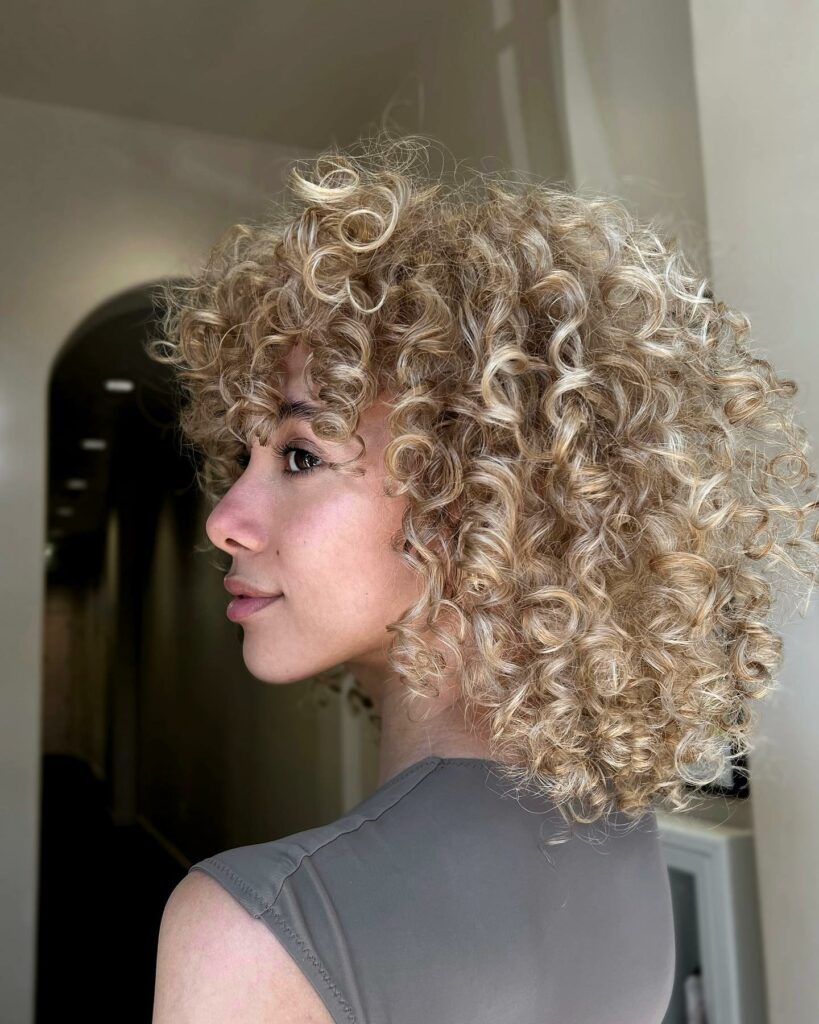 30 Curly Hairstyles Ideas to Flaunt Your Curls in 2024 36 Curly Black Bob with Babylights