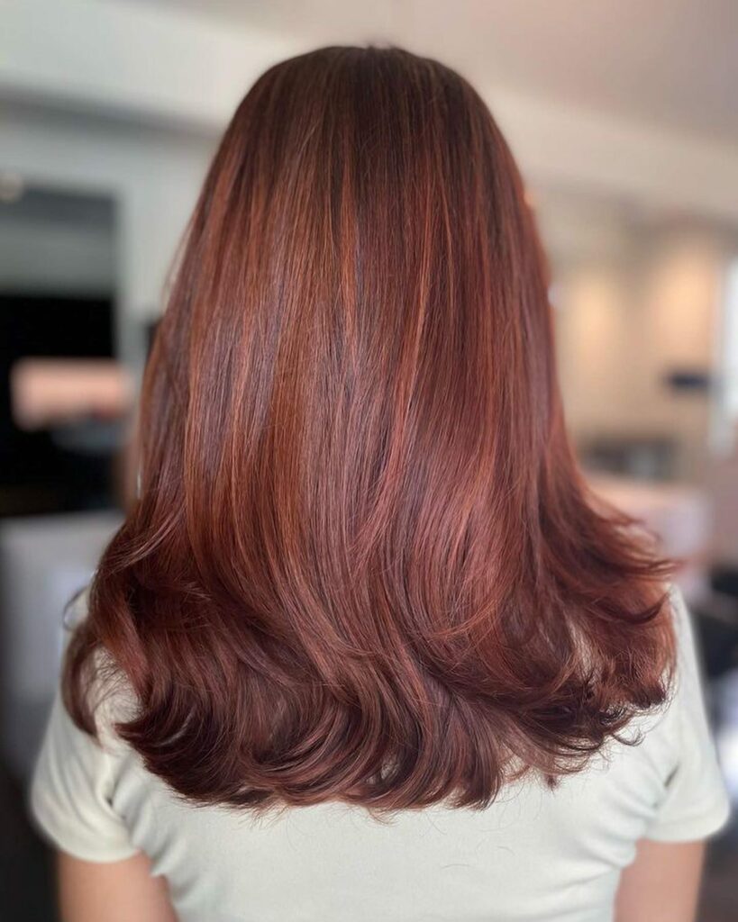 35 Reddish Brown Hair Color Ideas to Try in 2024 26 Auburn Highlights on Brown Hair
