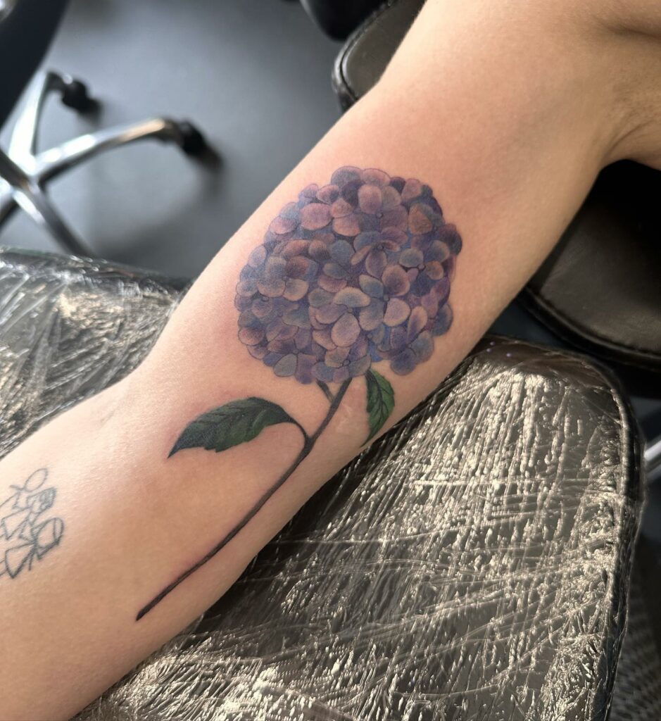 Amazing Hydrangea Tattoo Designs To Inspire You in 2024 16 Hydrangea Tattoo