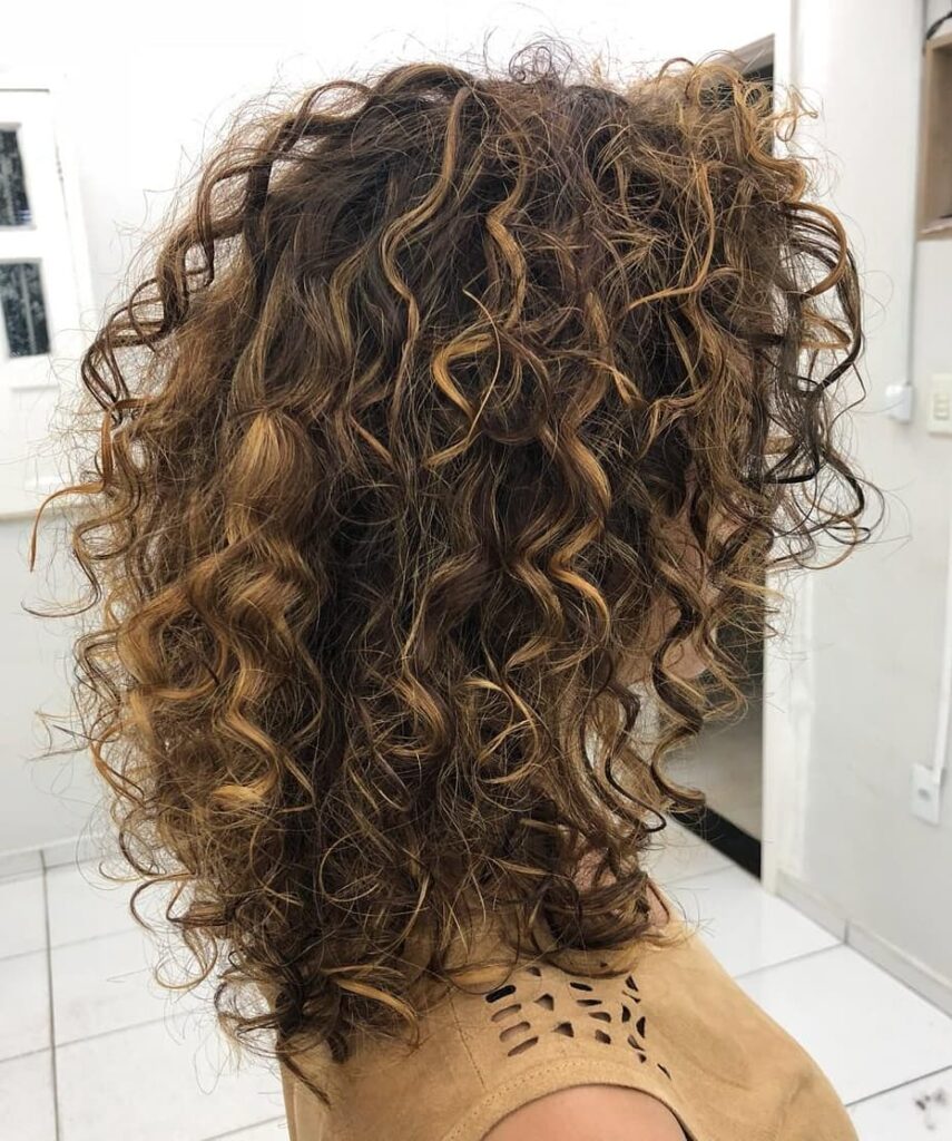 30 Curly Hairstyles Ideas to Flaunt Your Curls in 2024 38 Medium Loosely Curled Hairstyle with Highlights