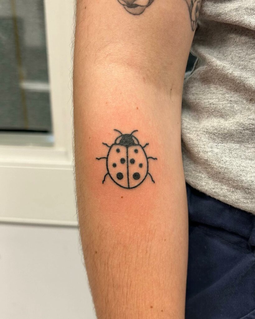 10 Best Ladybug Tattoo Ideas In 2024! 21 Ladybug Inscriptions