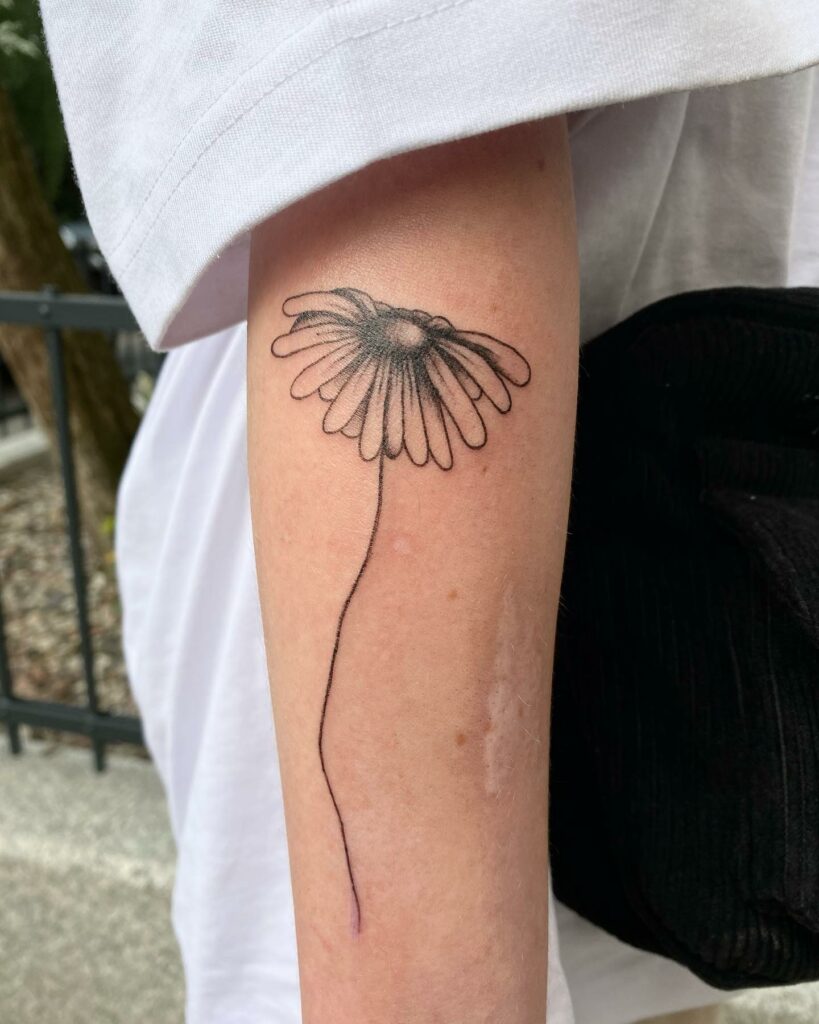 12+ BEST DAISY TATTOO DESIGNS IN 2024 To Inspire You 18 Daisy Tattoo