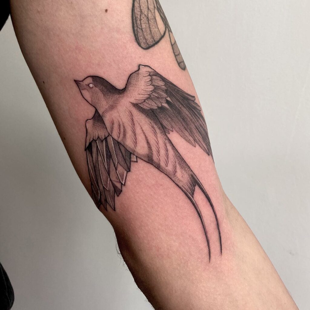 10 Amazing Swallow Tattoo Designs & Their Meaning 12 Swallow Tattoo