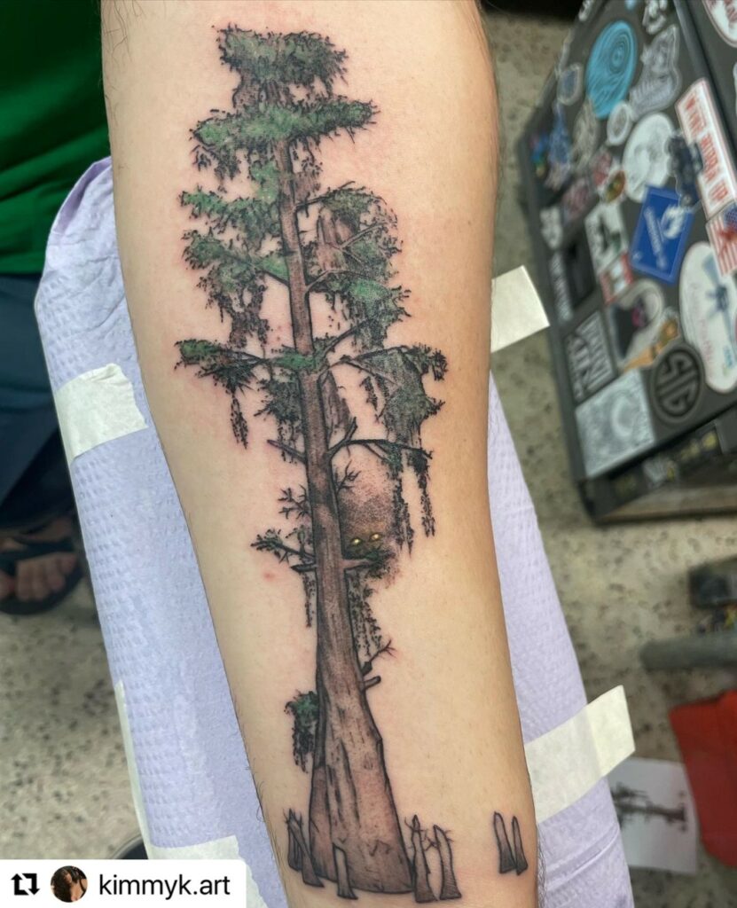 10 BEST TREE TATTOOS + THEIR MEANINGS IN 2024 15 Cypress Tree Tattoo