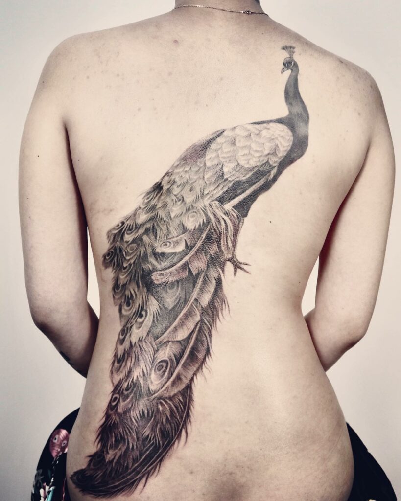 Top 10 Peacock Tattoo Designs + Meanings In 2024 21 Peacock Tattoo