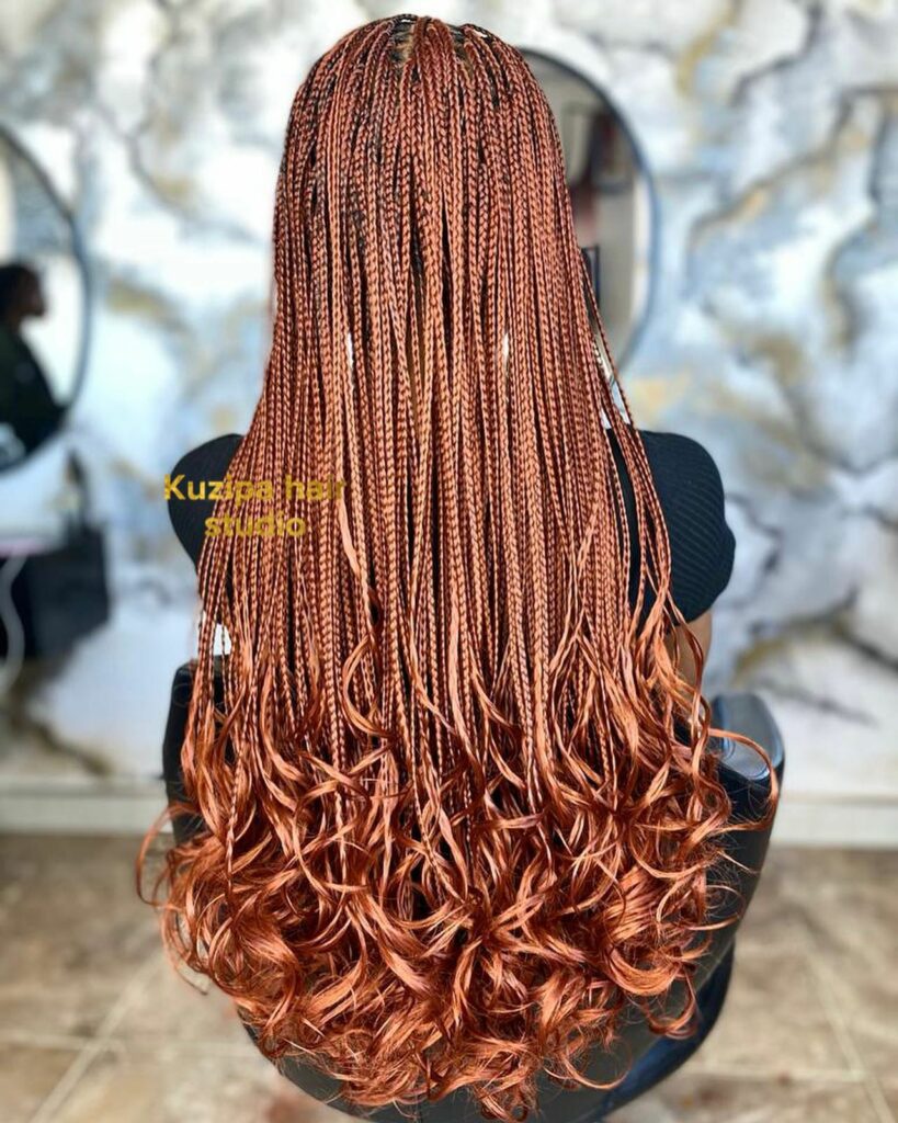 35 Micro Braids Ideas to Elevate Your Hairstyle in 2024 35 Rock Those Curly-Ended Micro Braids