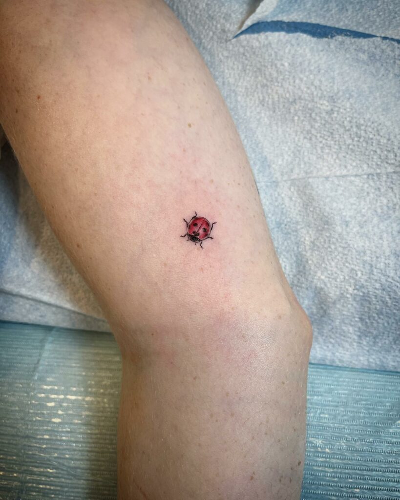 10 Best Ladybug Tattoo Ideas In 2024! 16 Micro Realistic Tattoos