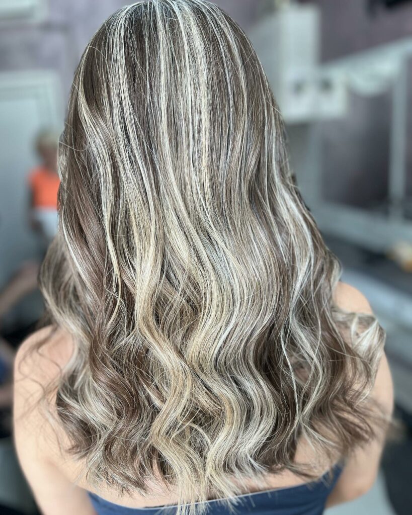 25 Silver Hair Colour Ideas to Embrace in 2024 28 White Highlights for Brown Blonde Hair