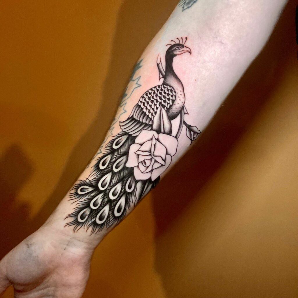 Top 10 Peacock Tattoo Designs + Meanings In 2024 18 Peacock White-Shaded Tattoo