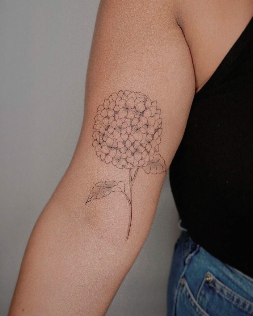 Amazing Hydrangea Tattoo Designs To Inspire You in 2024 13 Hydrangea Tattoo