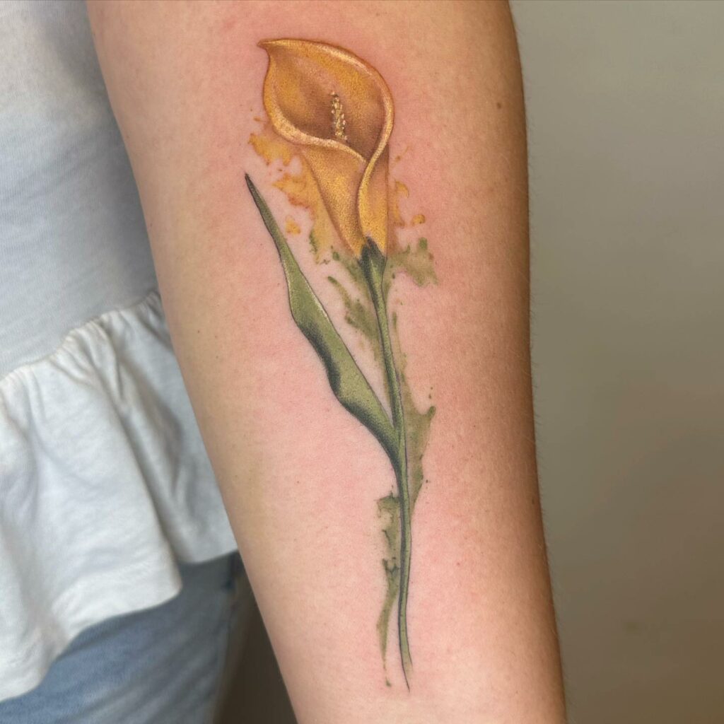 Beautiful Calla Lily Tattoo Ideas with Meanings Updated For 2024 24 Canvas Calla Lily Design