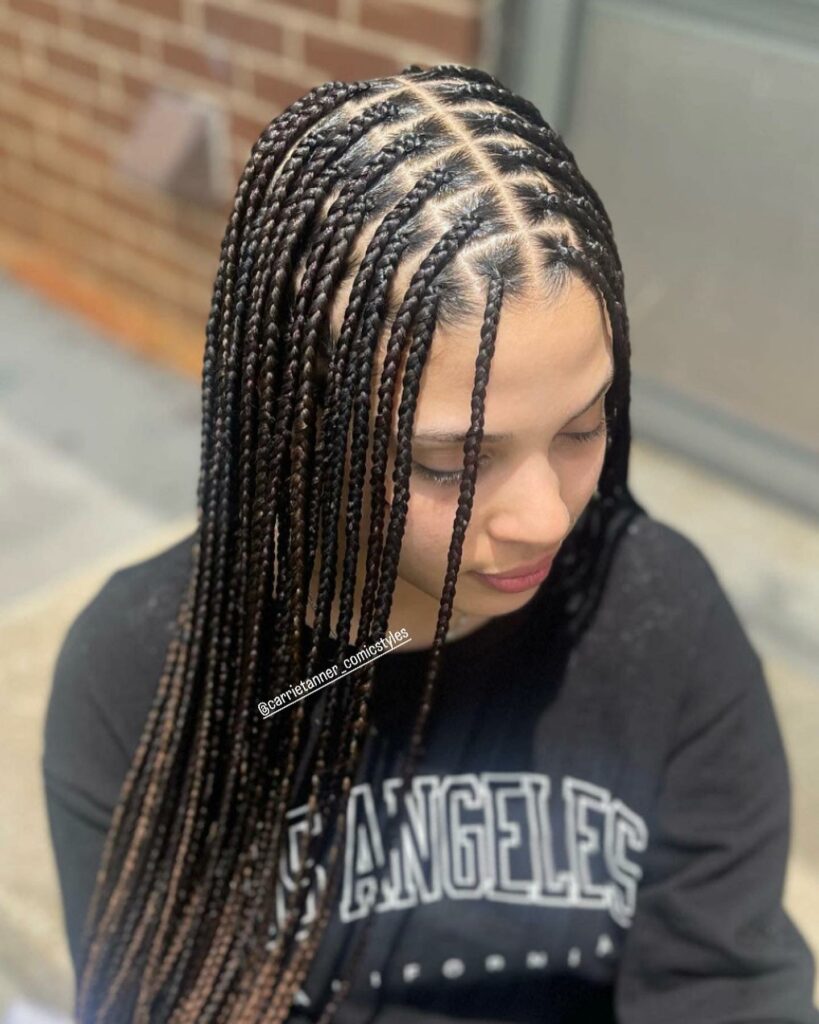 35 Micro Braids Ideas to Elevate Your Hairstyle in 2024 16 Micro Knotless Braids