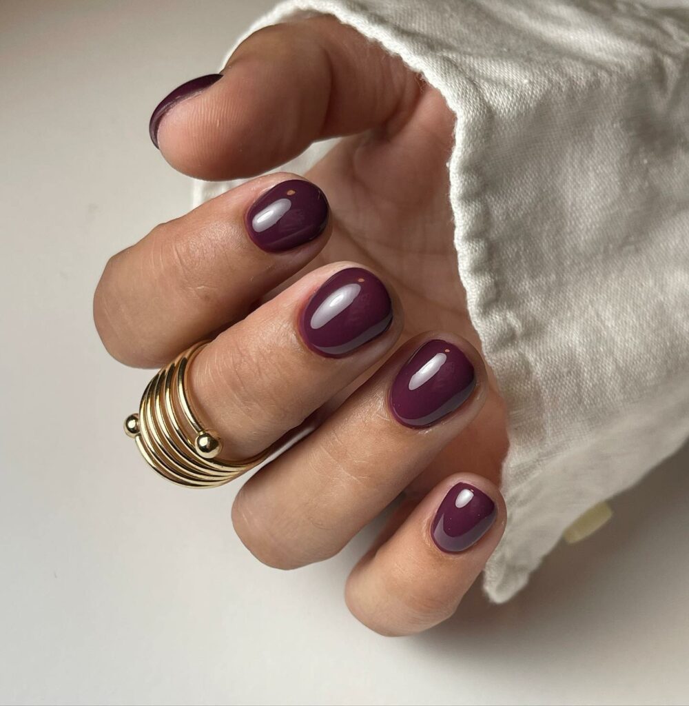20 Latest Wine Color Nail Ideas To Try In 2024! 30 Short Wine Nails