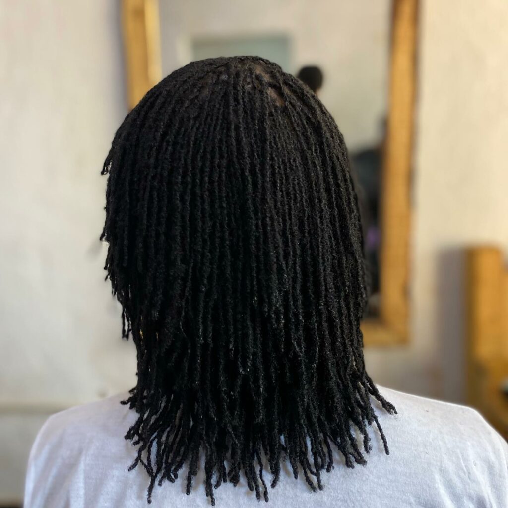 35 Micro Braids Ideas to Elevate Your Hairstyle in 2024 25 Spicing Up Short Hair With Vivid Micro Braids