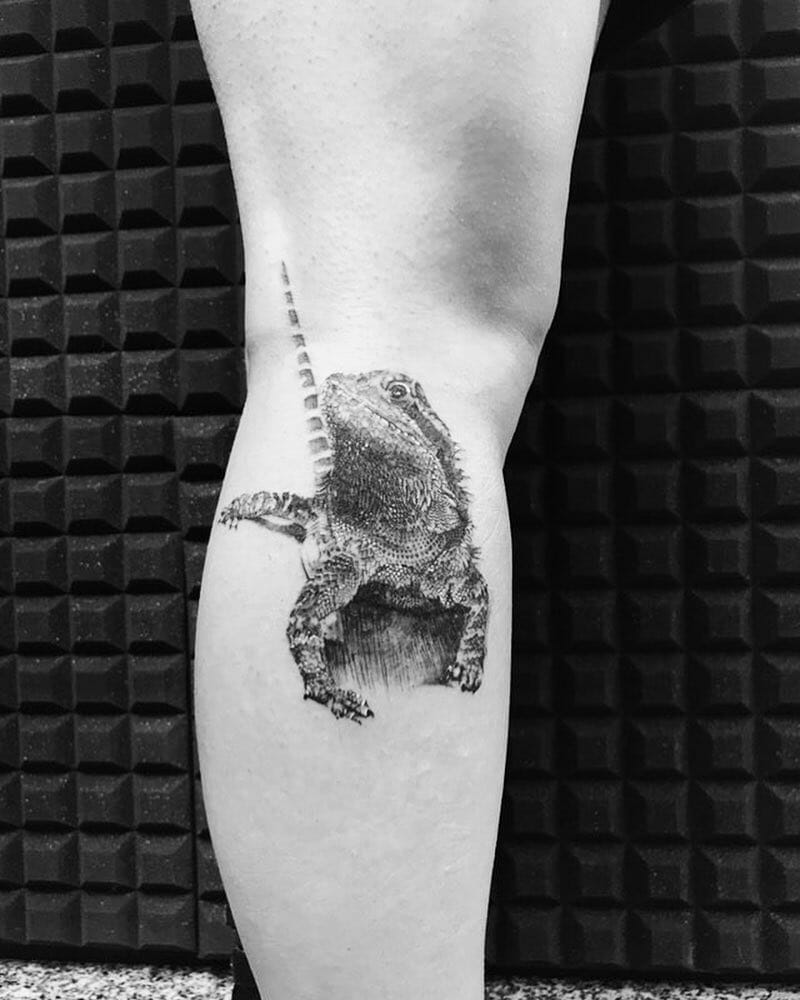 18+ Bearded Dragon Tattoo Ideas To Inspire You! 15 3D Bearded Dragon Tattoo Designs