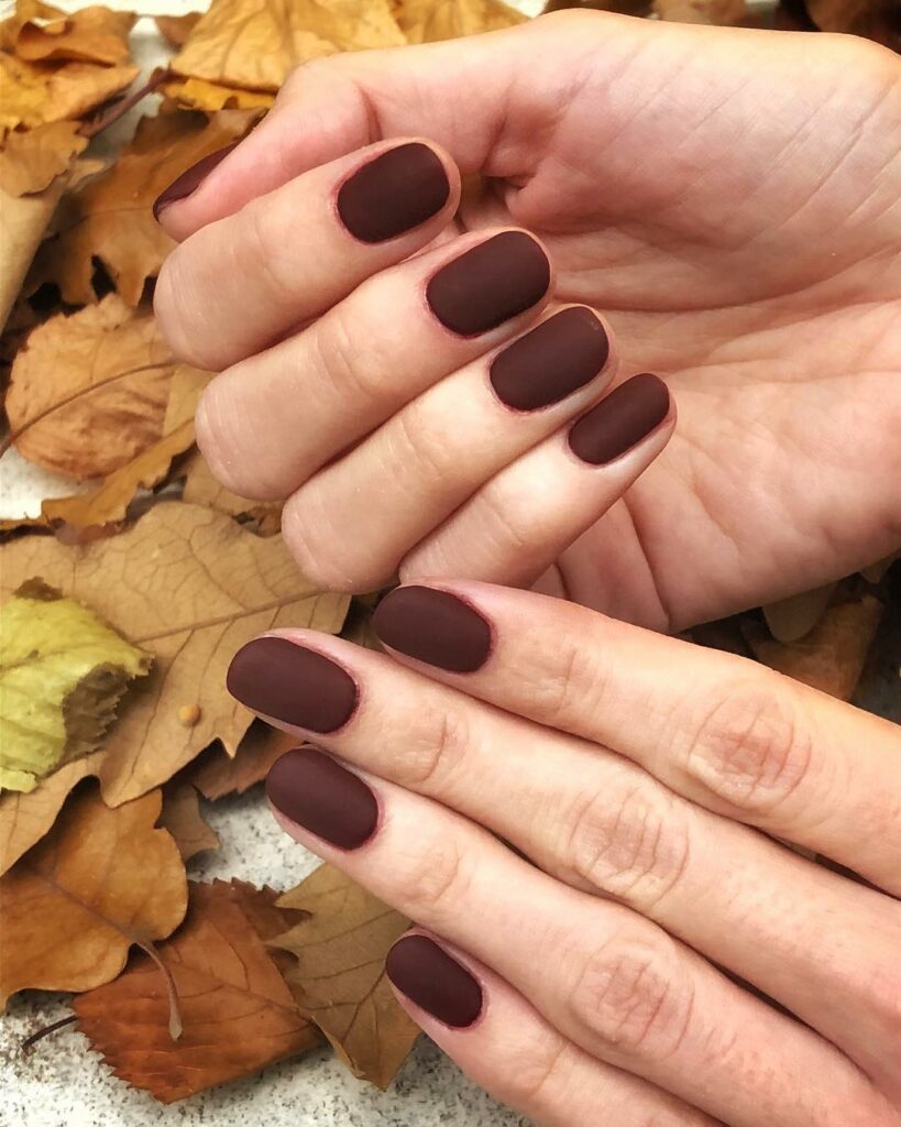 44 Latest Matte Brown Nail Ideas To Try In 2024! 19 Matte Brown Short Round Nails