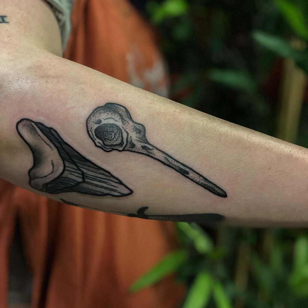 AMAZING ANIMAL SKULL TATTOO IDEAS AND THEIR MEANINGS IN 2024 27 Hummingbird Skull Tattoo
