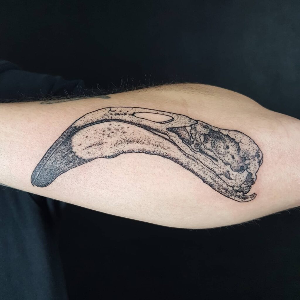 AMAZING ANIMAL SKULL TATTOO IDEAS AND THEIR MEANINGS IN 2024 29 Flamingo Skull Tattoo