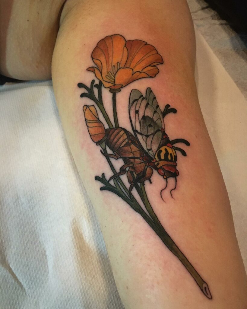 POPPY FLOWER TATTOOS: AN ACCURATE GUIDE TO THEIR MEANINGS 14 California Poppy Tattoo