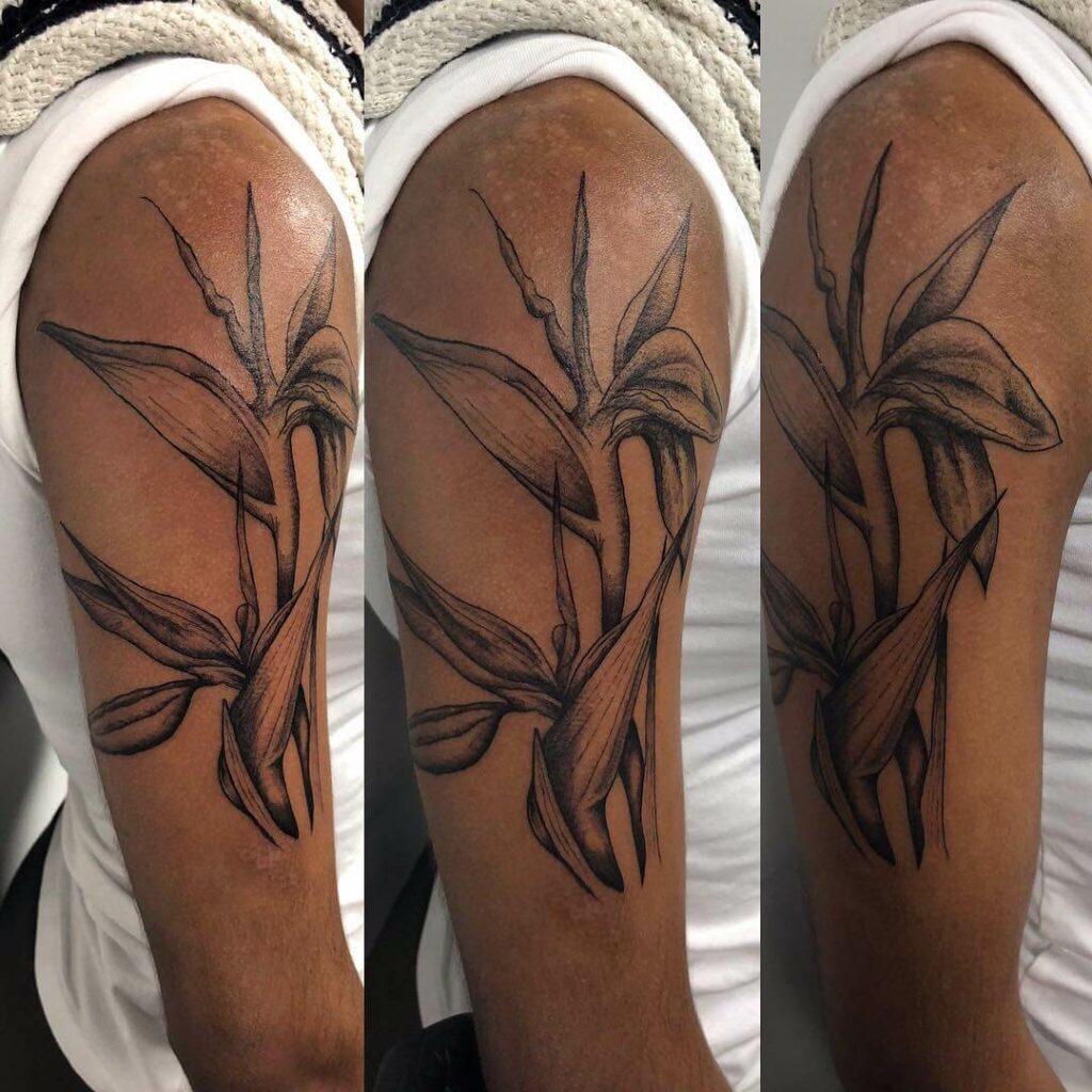 11+ Aquarius Flower Tattoo Ideas That Will Blow Your Mind! 13 Amazing Tattoo Sleeve Designs With The Aquarius Flower