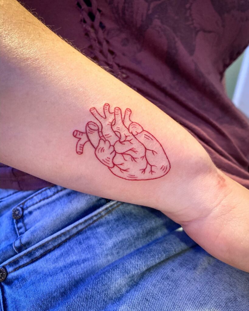 11+ Outline Heart Tattoo Ideas That Will Blow Your Mind! 18 Anatomical Red Heart Tattoo