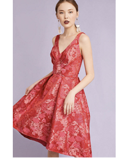 Anthropologie – Zander Brocade Dress £258 Anthropologie £258