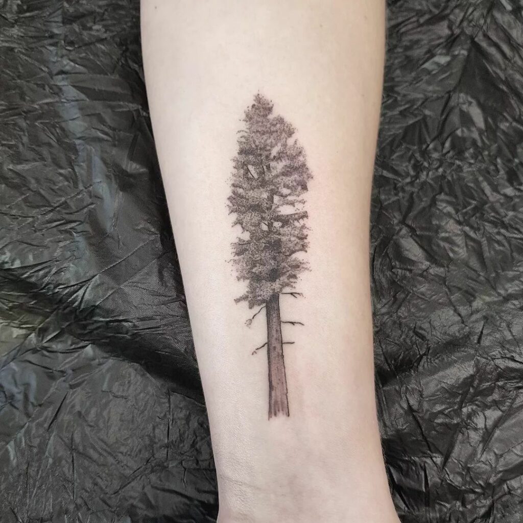 10 BEST TREE TATTOOS + THEIR MEANINGS IN 2024 14 Cedar Tree Tattoo