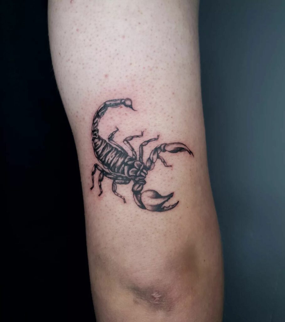 22 AMAZING SCORPION TATTOO DESIGNS - UPDATED FOR 2024 14 Small Scorpion Tattoo