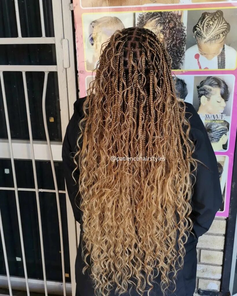 35 Micro Braids Ideas to Elevate Your Hairstyle in 2024 39 Black And Blonde Curly Micro Braids