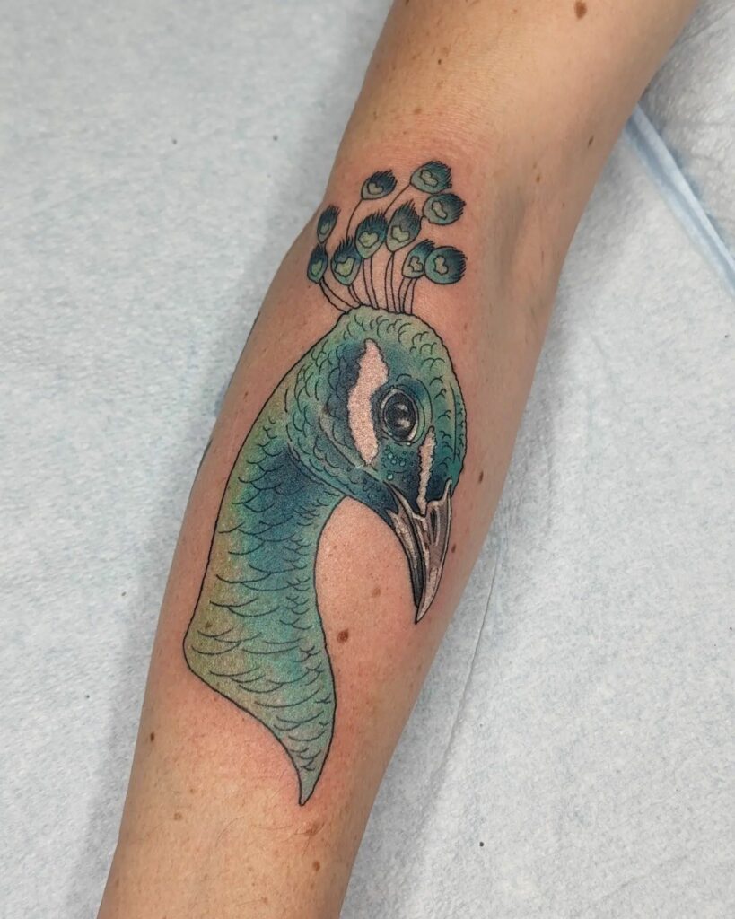 Top 10 Peacock Tattoo Designs + Meanings In 2024 19 Peacock Head Tattoo