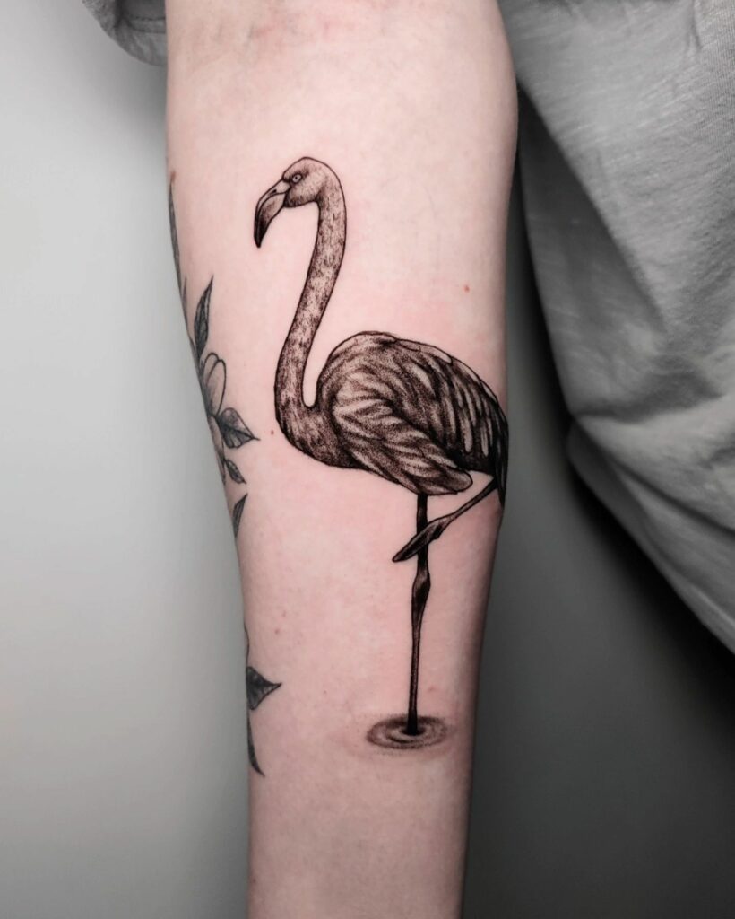 Amazing Flamingo Tattoos with Meanings To Inspire You In 2024! 23 Flamingo and the Gentle Lamb