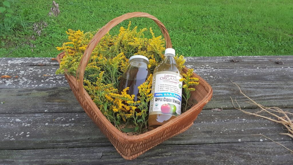 Apple Cider Vinegar and Bunions: Separating Fact from Fiction 14 Apple Cider Vinegars