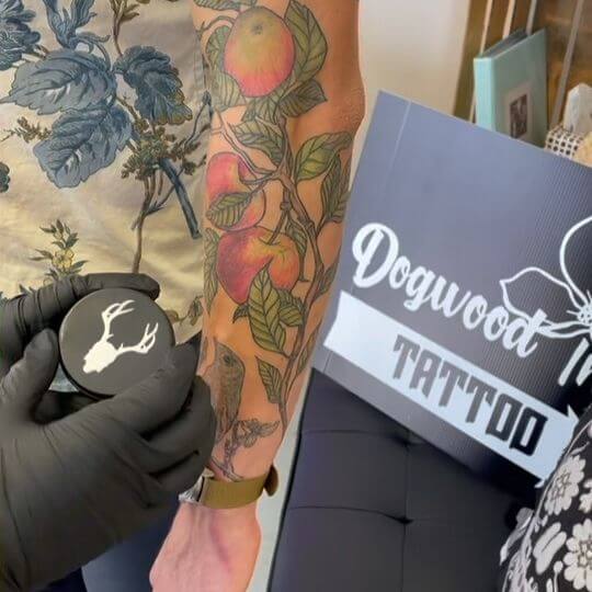 16 Latest Apple Tattoos To Inspire You In 2024! 10 Apple Tattoo