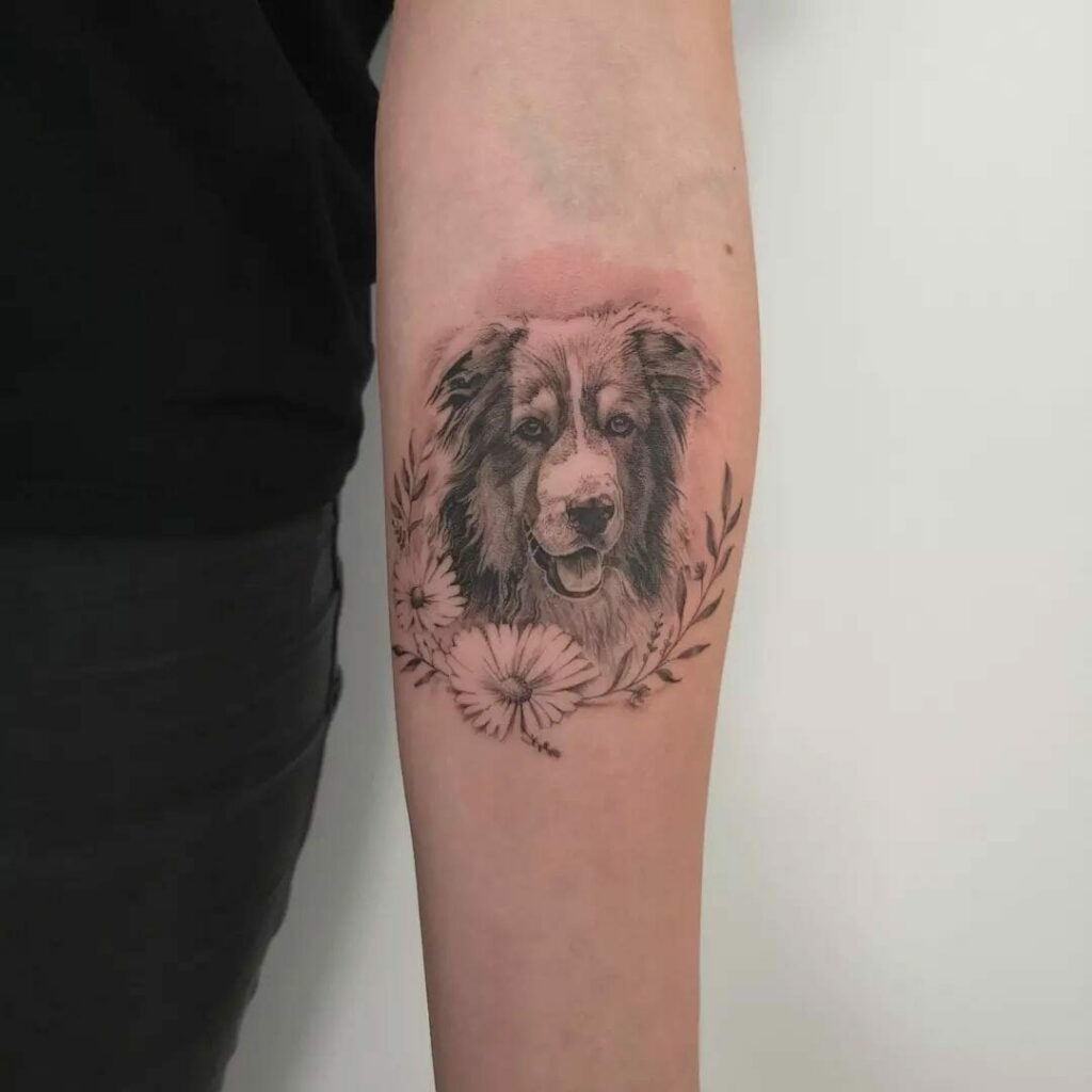 11+ Australian Shepherd Tattoo Ideas That Will Blow Your Mind! 10 Australian Shepherd Tattoo