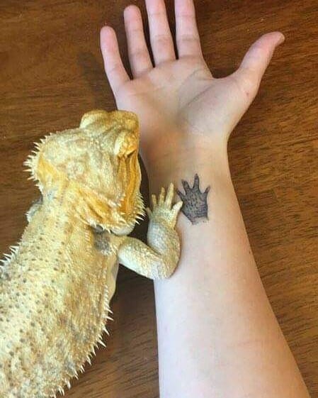 18+ Bearded Dragon Tattoo Ideas To Inspire You! 17 Bearded Dragon Footprint Tattoo