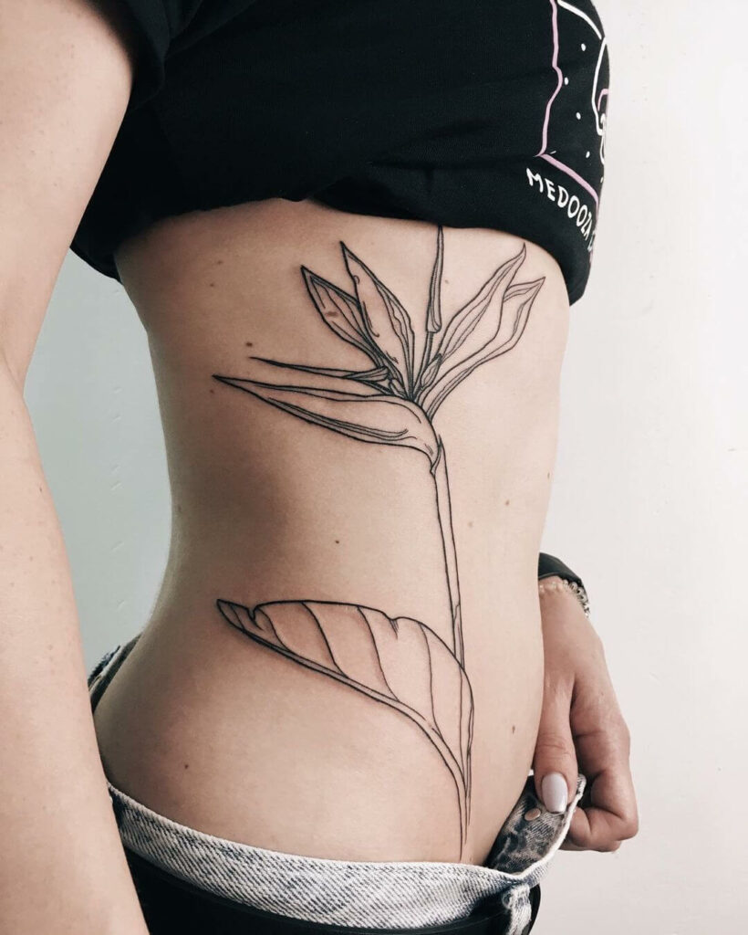 11+ Aquarius Flower Tattoo Ideas That Will Blow Your Mind! 16 Beautiful Bird Of Paradise Flower Tattoo For Your Body