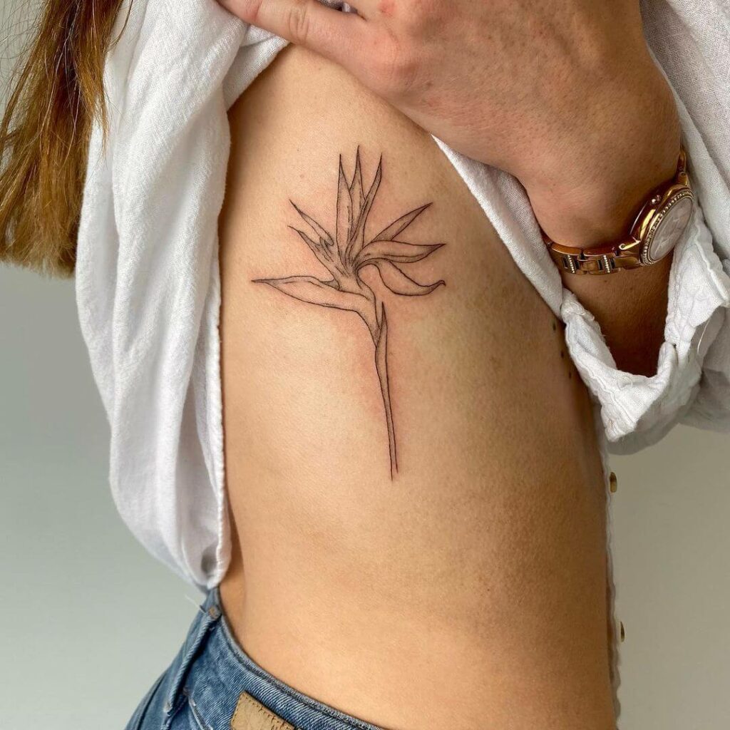 11+ Common Tattoo Ideas That Will Blow Your Mind! 12 Bird Of Paradise Tattoo Ideas
