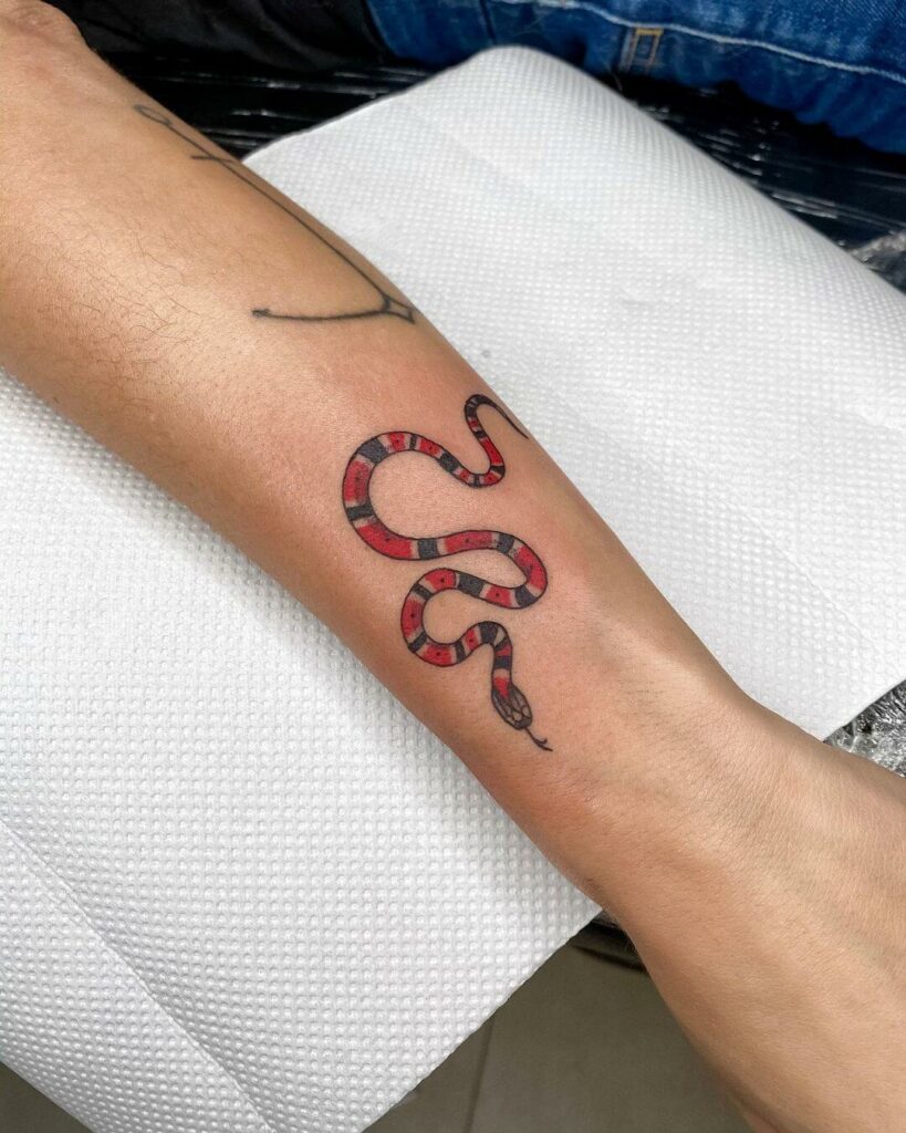 11+ Coral Snake Tattoo Ideas That Will Blow Your Mind! 11 Black And Red Coral Snake Tattoos